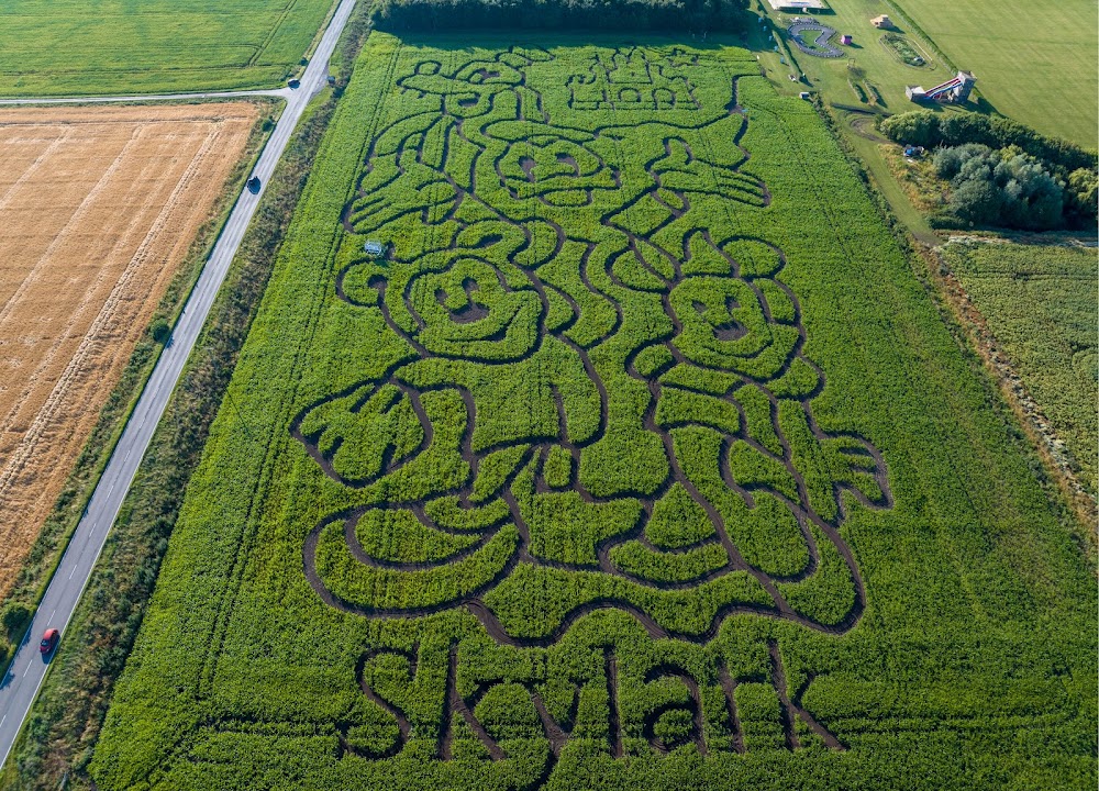 Skylark Maize Maze & Funyard